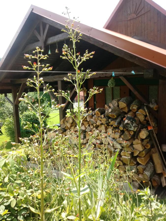 Pod Modrzewiami Apartment มิลูฟกา ภายนอก รูปภาพ