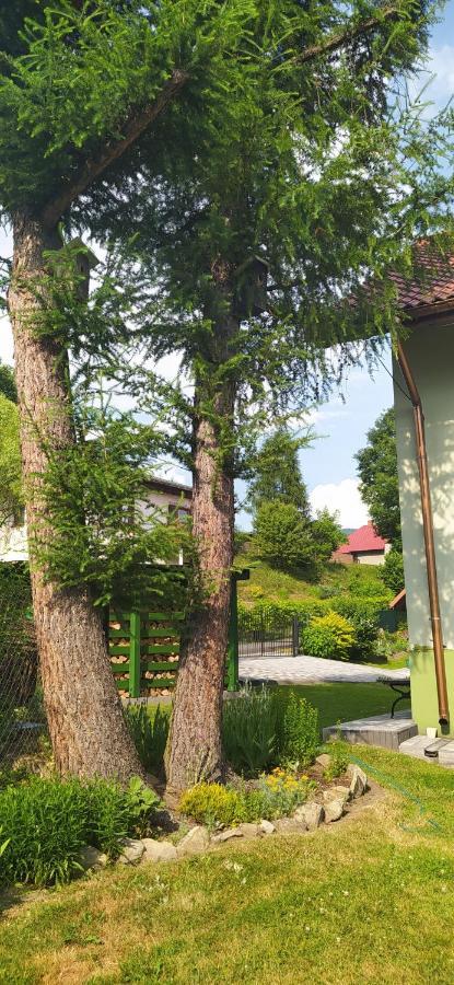Pod Modrzewiami Apartment มิลูฟกา ภายนอก รูปภาพ