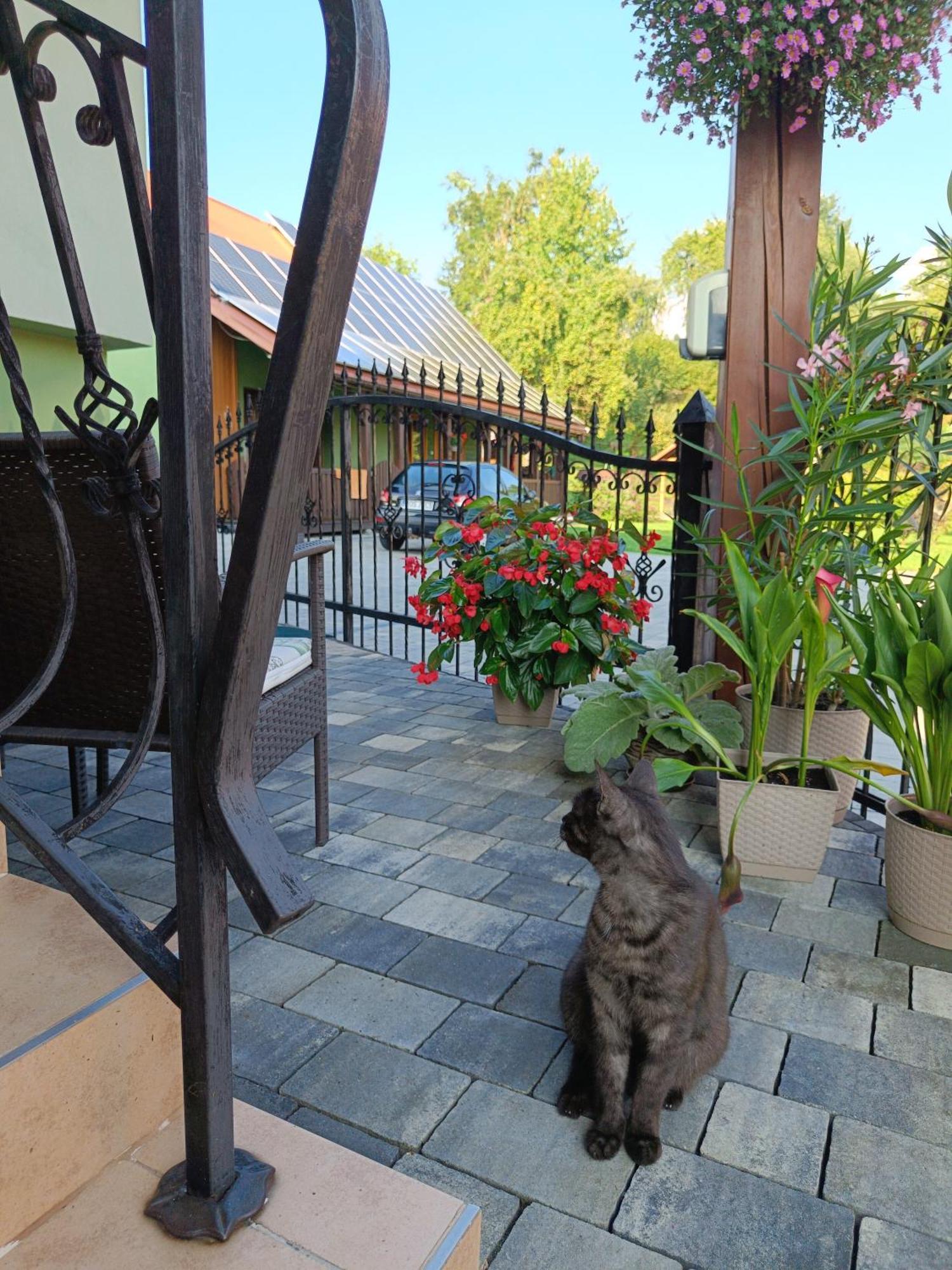 Pod Modrzewiami Apartment มิลูฟกา ภายนอก รูปภาพ