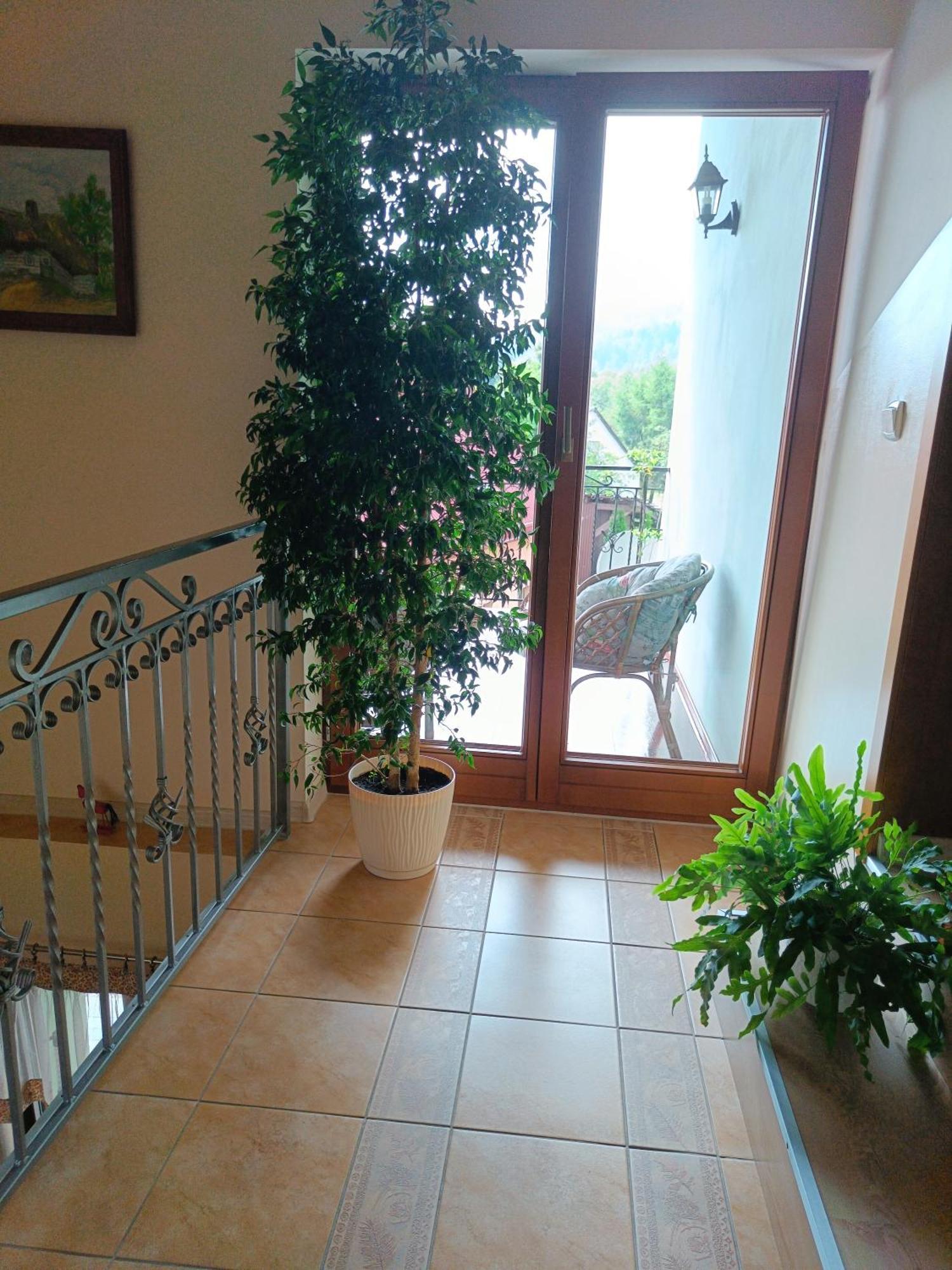 Pod Modrzewiami Apartment มิลูฟกา ภายนอก รูปภาพ
